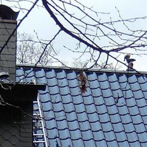 Steildächer von Ihrem Dachdecker in Wuppertal